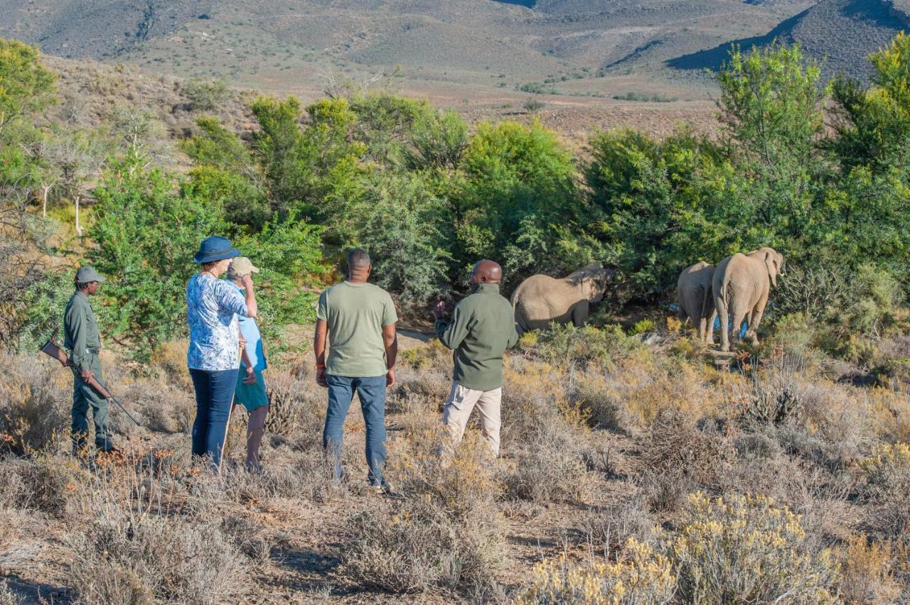 Mont Eco Game Reserve Монтегю Екстериор снимка