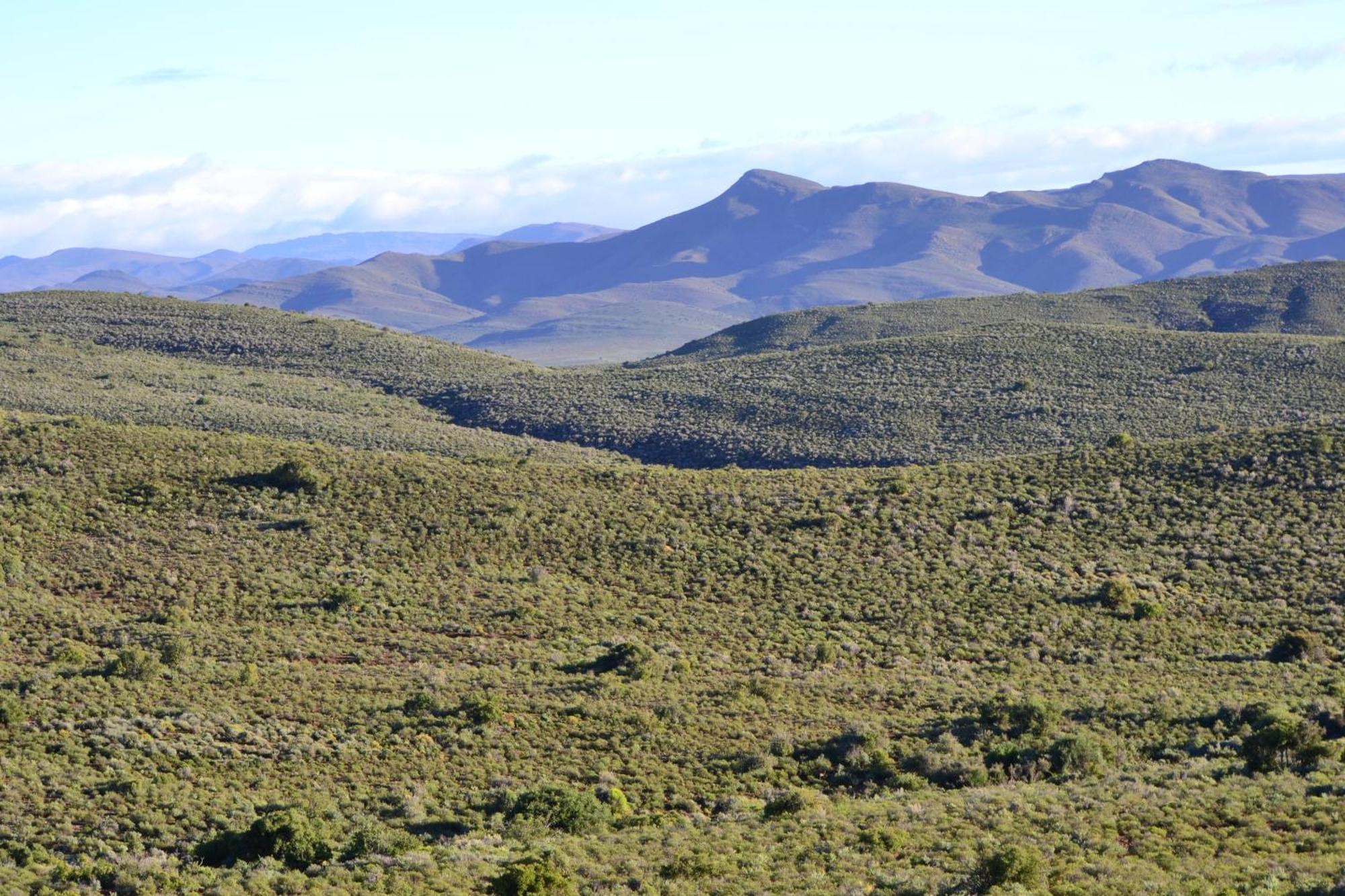 Mont Eco Game Reserve Монтегю Екстериор снимка